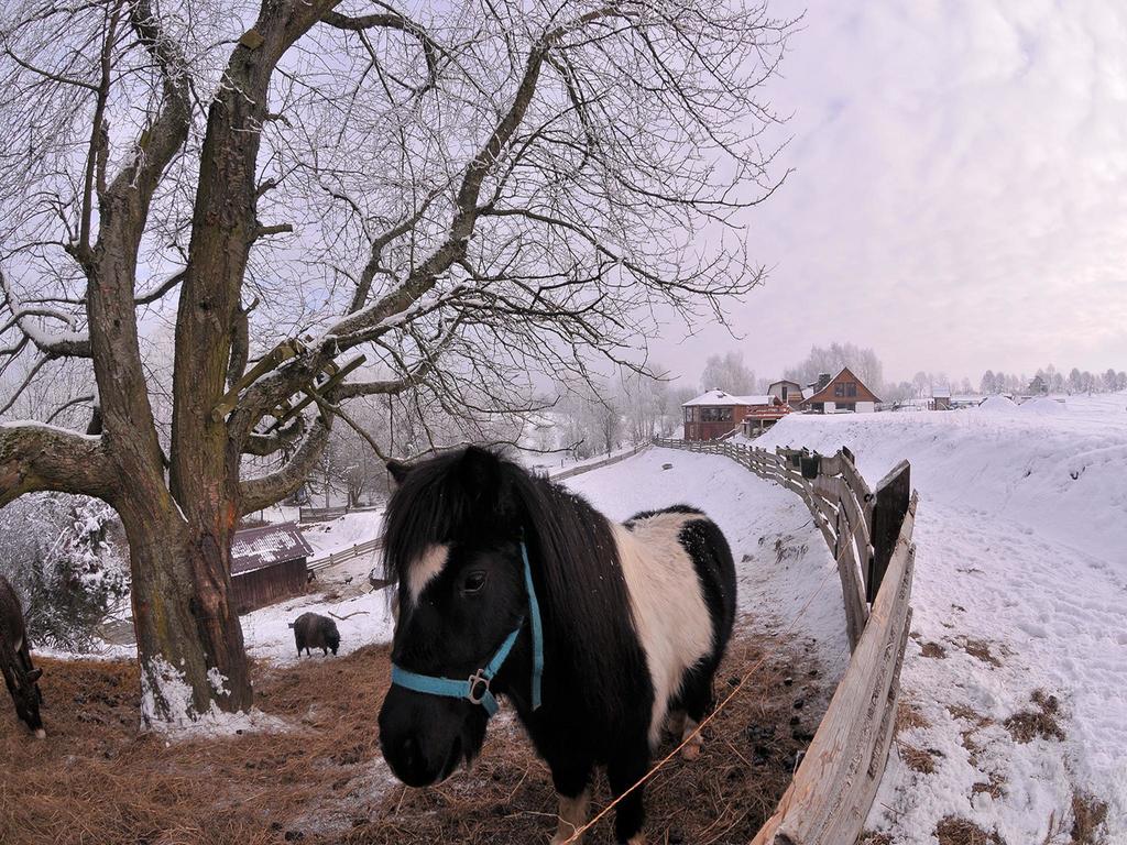 Rancho Zapotoczny Villa Łagów Eksteriør bilde